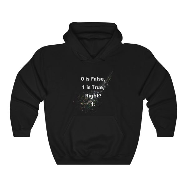 True or False - Hoodie