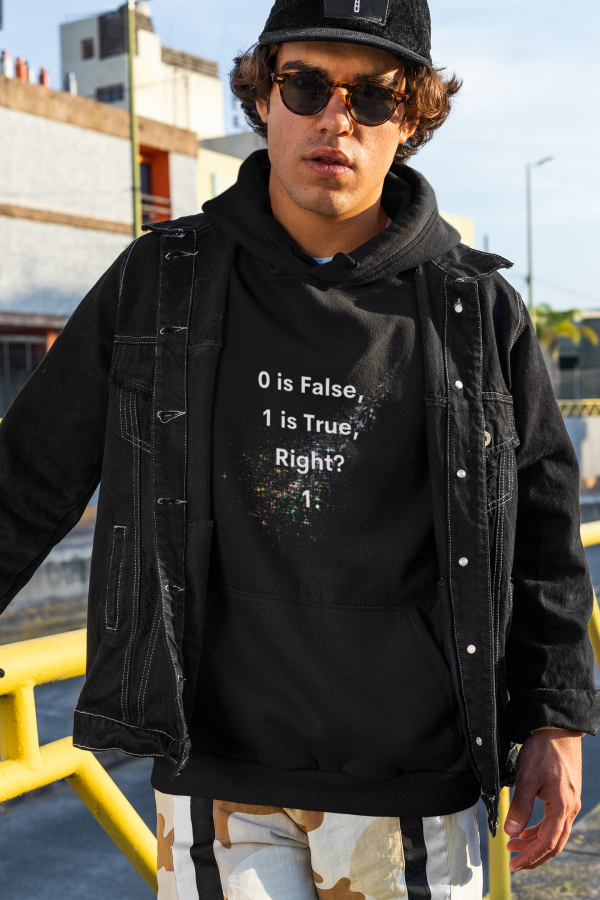 True or False - Hoodie - Image 2